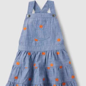 Gymboree Girls 5T Schiffli Embroidered Pumpkin Blue Chambray Skirtall Jumper NWT